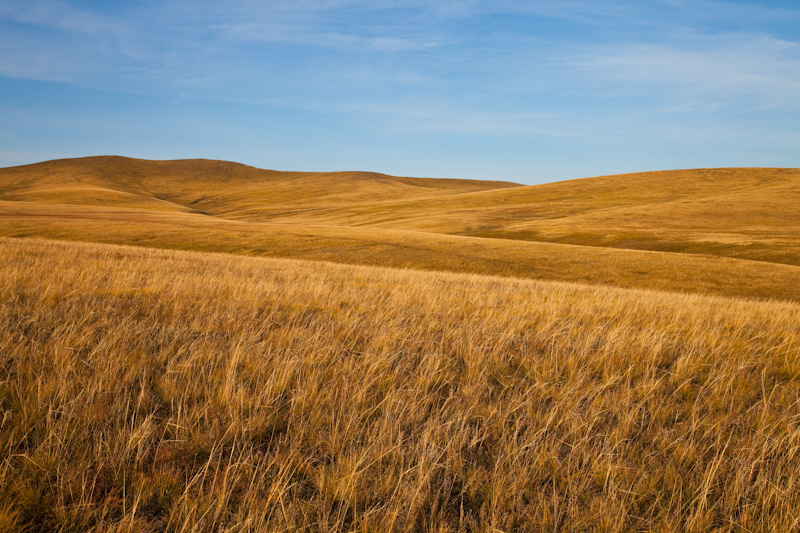 The Steppe